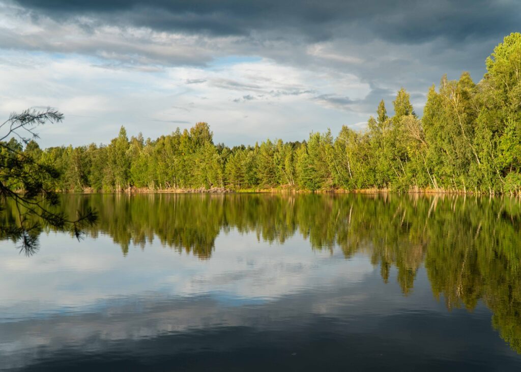 Naturbillede i Sverige